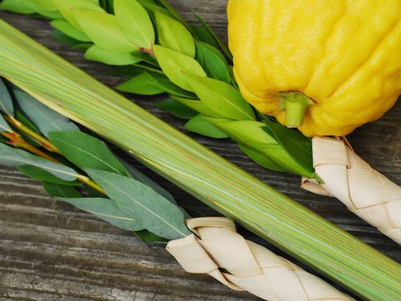 Lulav and Etrog Set